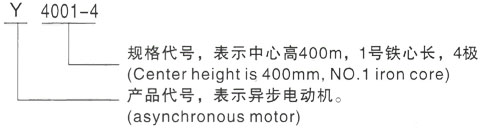 西安泰富西玛Y系列(H355-1000)高压YKS4501-4三相异步电机型号说明